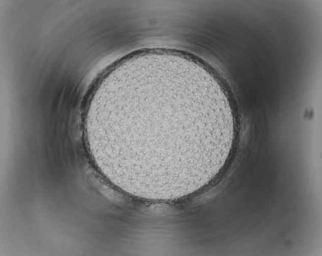X0000111490974200908251022