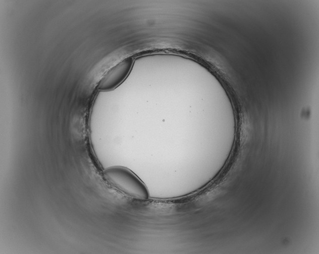 X0000111490977200908251022