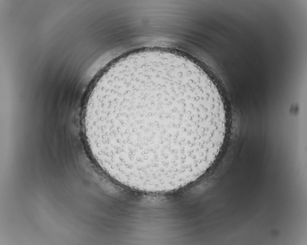 X0000111490978200908251022