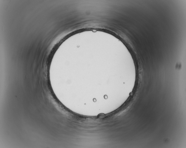 X0000111490981200908251022