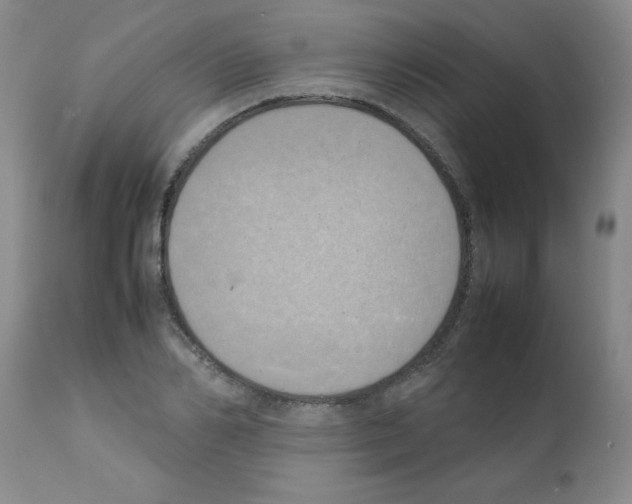 X0000111490982200908251022
