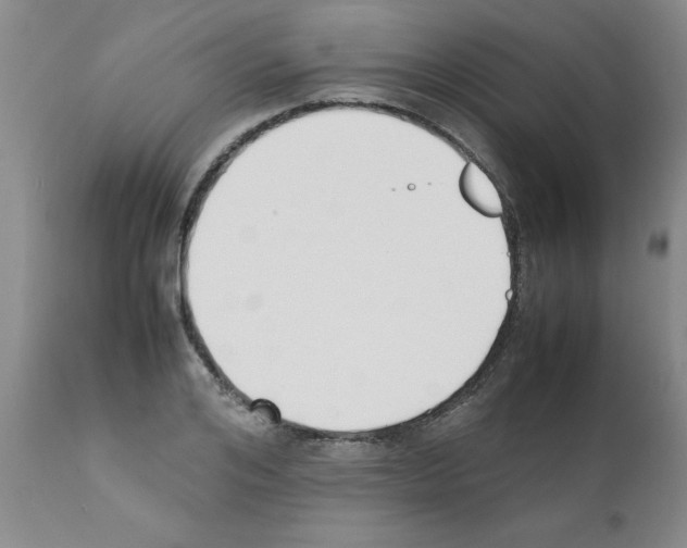 X0000111490984200908251022