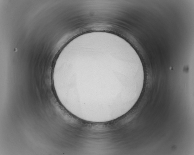 X0000111490986200908251022
