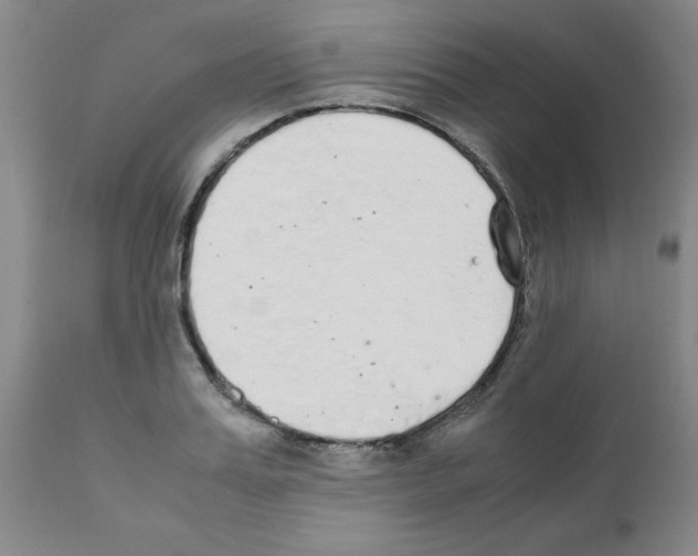 X0000111490987200908251022