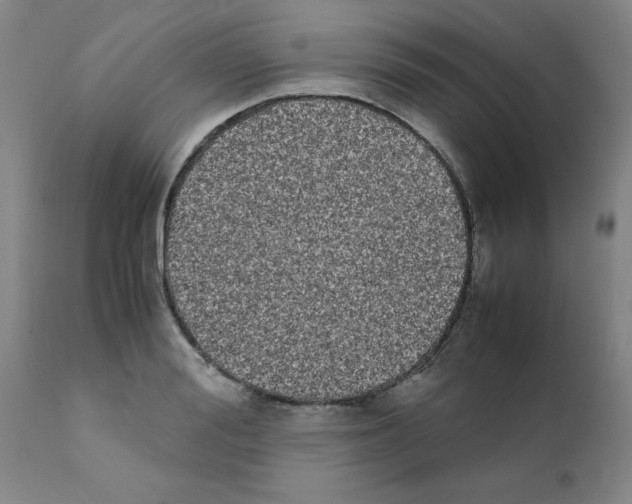 X0000111490988200908251022