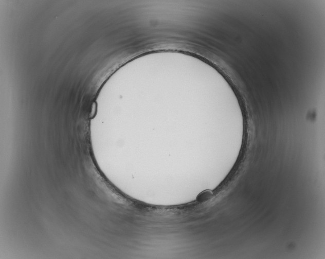 X0000111490993200908251022