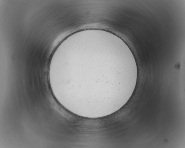 X0000111490998200908251022