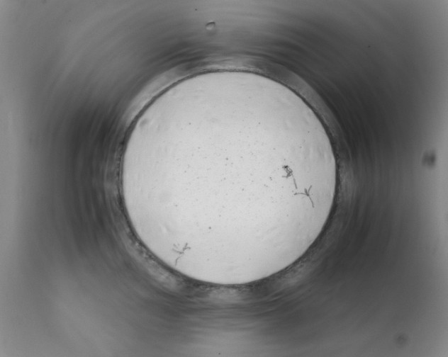 X0000111491002200908251022