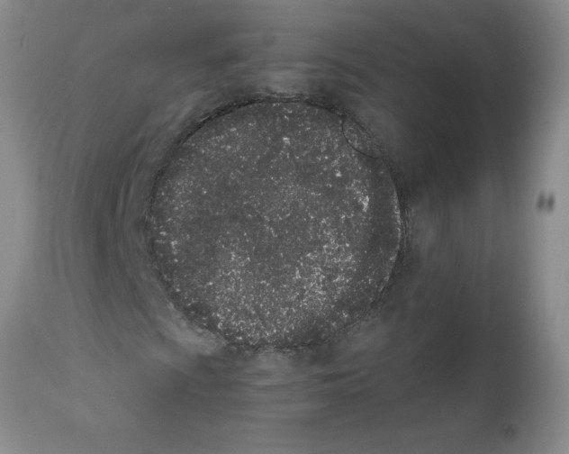 X0000111491009200908251020