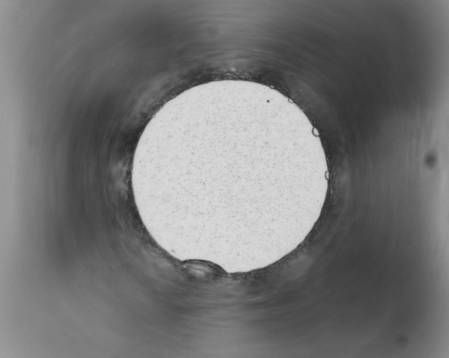 X0000111491010200908251020