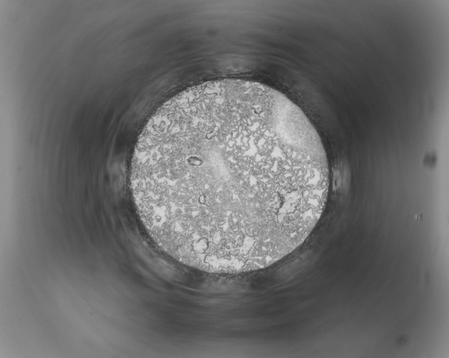 X0000111491011200908251020