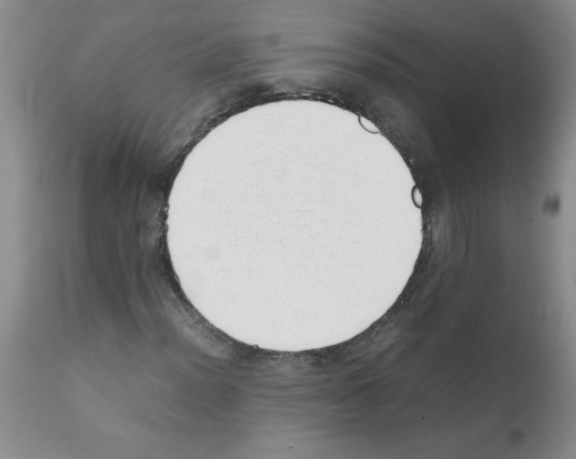 X0000111491012200908251020
