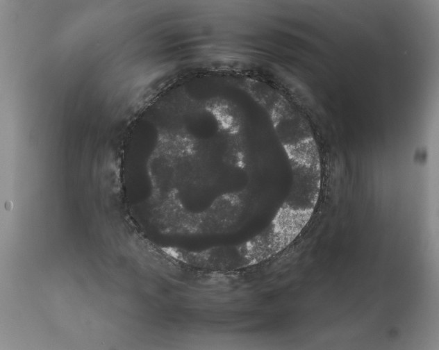 X0000111491013200908251020
