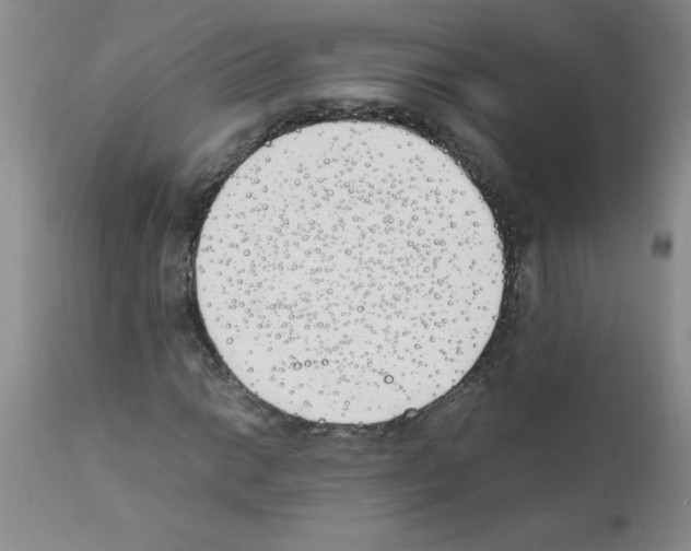 X0000111491014200908251020