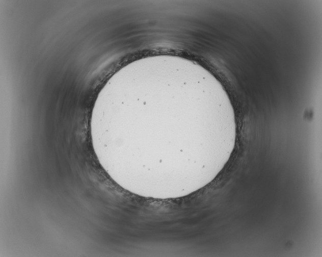 X0000111491015200908251020