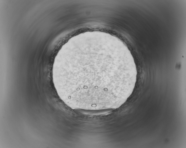 X0000111491016200908251021
