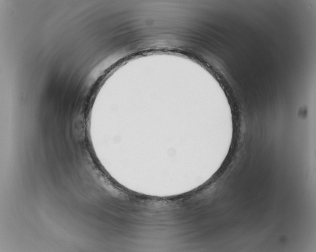 X0000111491018200908251021