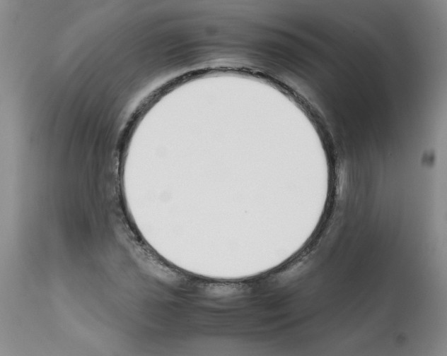 X0000111491021200908251021