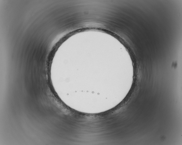 X0000111491022200908251021