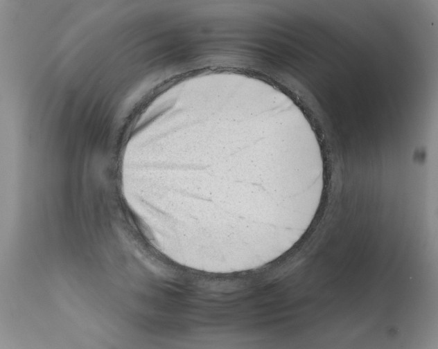 X0000111491027200908251021
