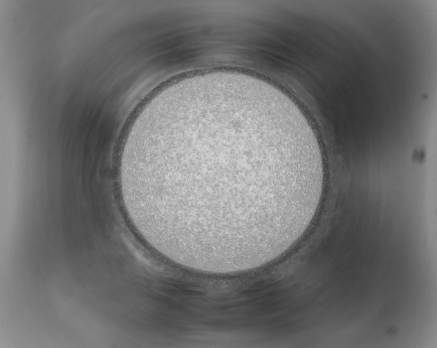 X0000111491031200908251021