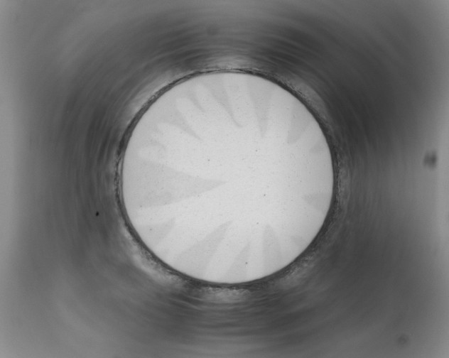 X0000111491039200908251021