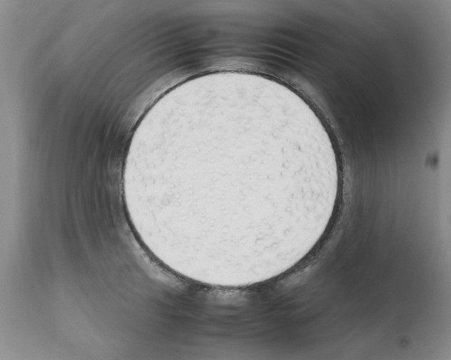 X0000111491041200908251021