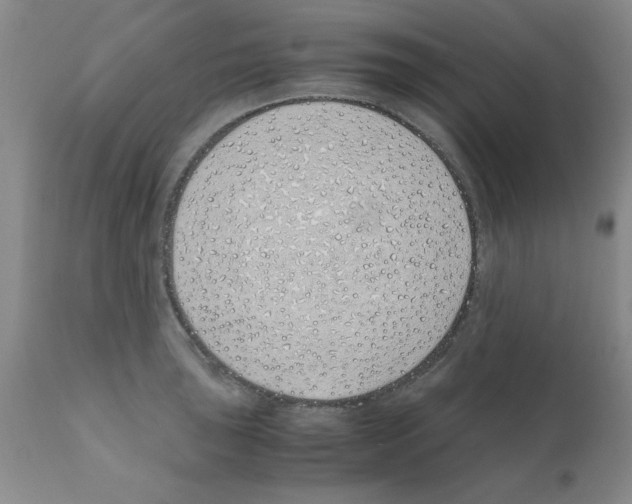 X0000111491043200908251021