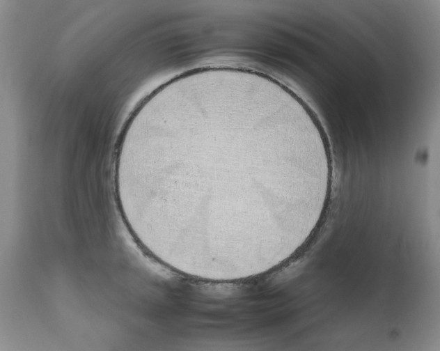 X0000111491045200908251021