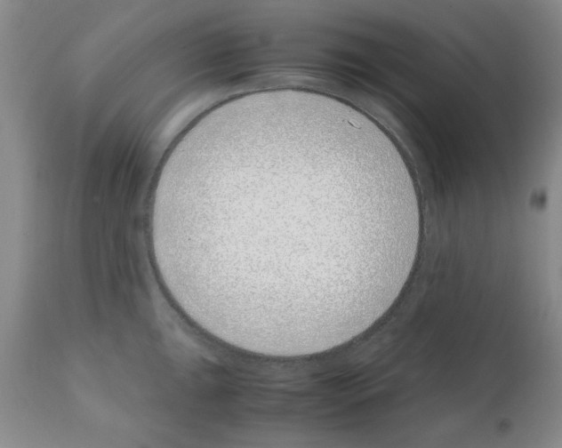 X0000111491047200908251021