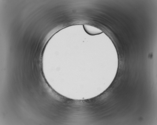 X0000111491050200908251021