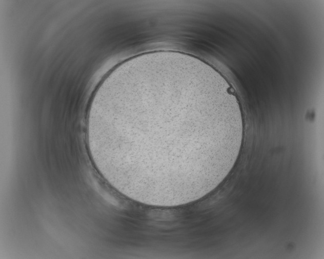 X0000111491051200908251021