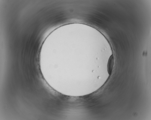 X0000111491056200908251021