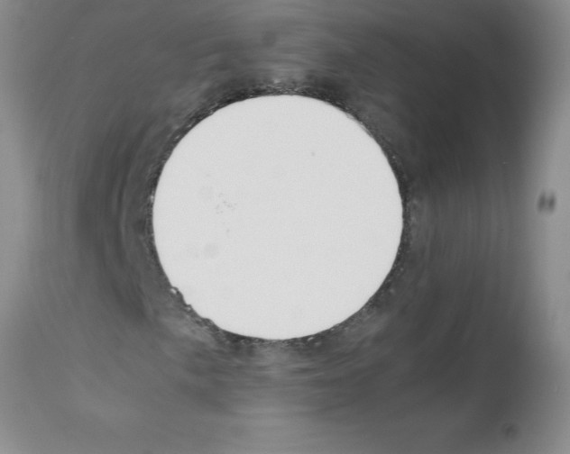 X0000111491057200908251020