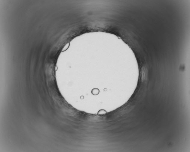 X0000111491059200908251020