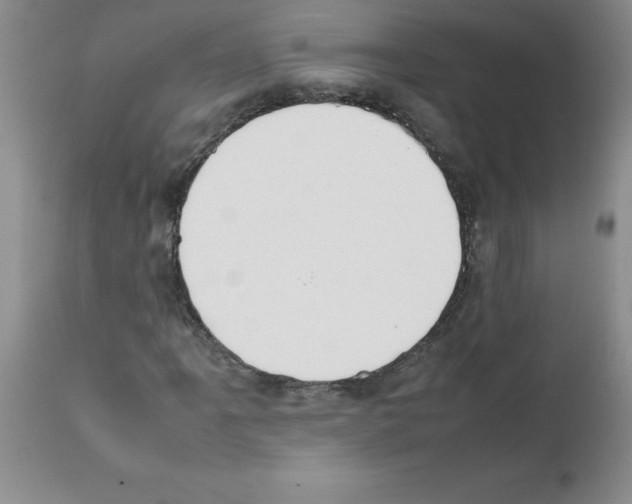 X0000111491061200908251020