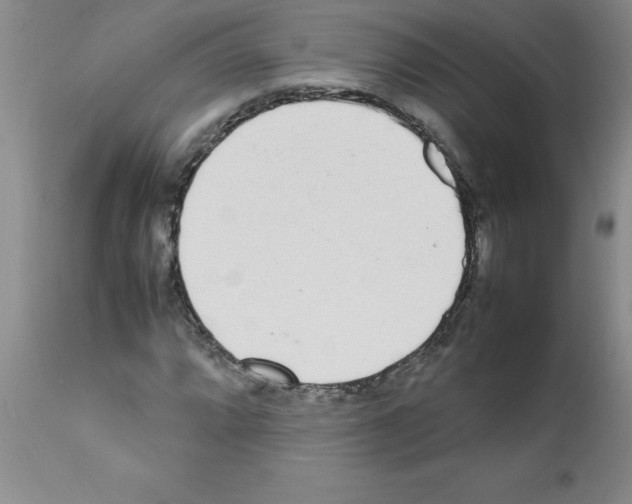 X0000111491064200908251020
