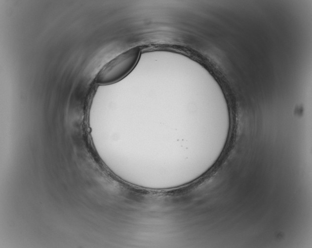 X0000111491065200908251020