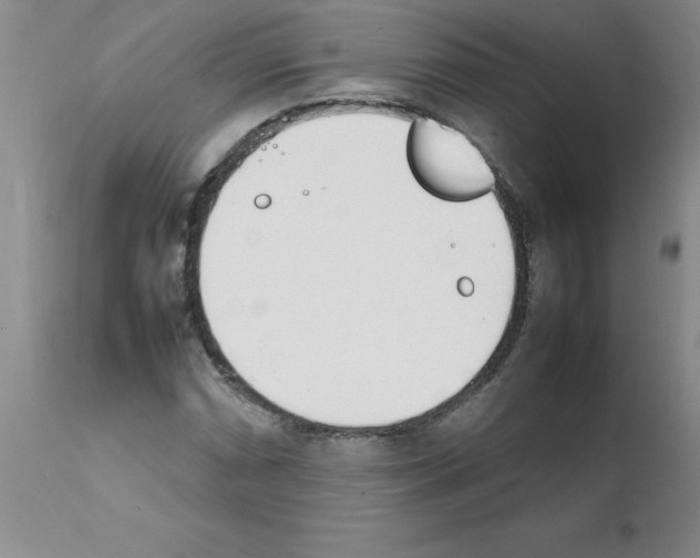 X0000111491066200908251020