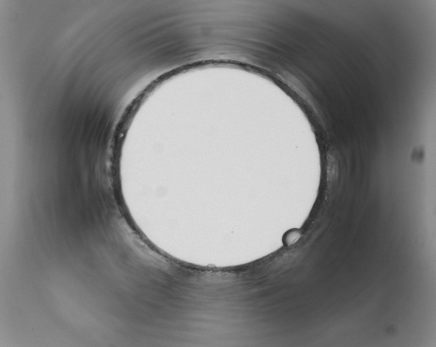 X0000111491068200908251020