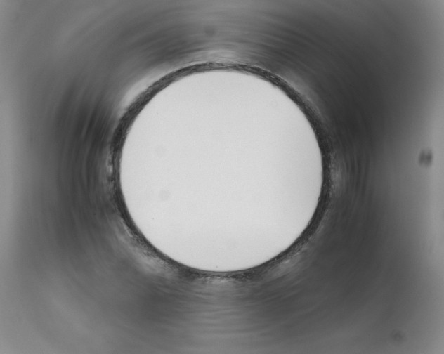 X0000111491070200908251020