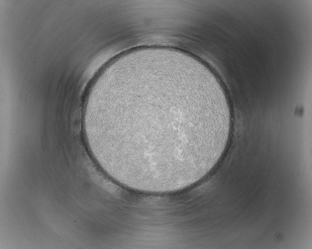 X0000111491075200908251020