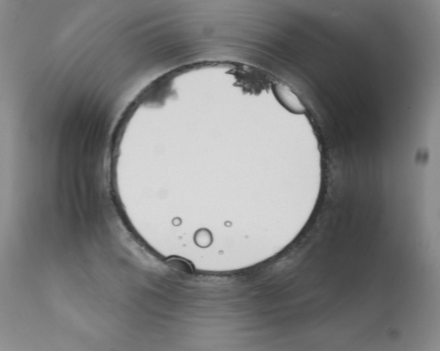 X0000111491076200908251020