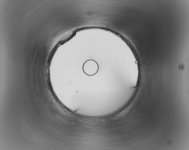 X0000111491077200908251020