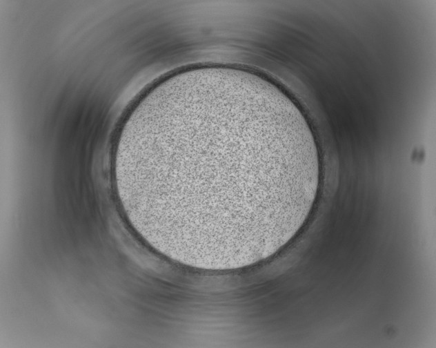 X0000111491078200908251020