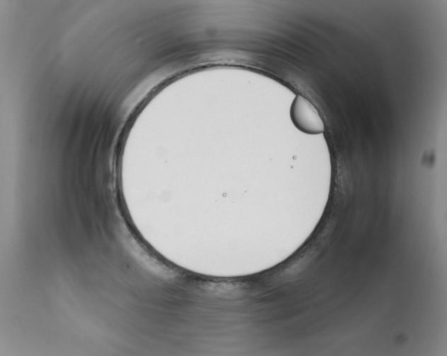 X0000111491082200908251020