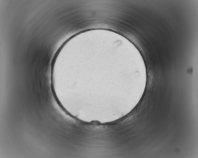 X0000111491084200908251020