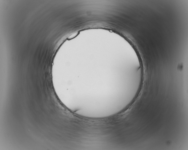 X0000111491089200908251020