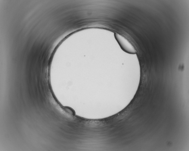 X0000111491092200908251020