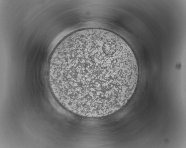 X0000111491094200908251020
